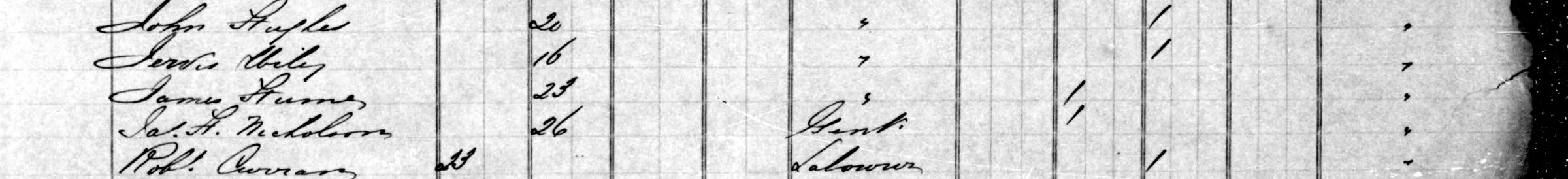 Five handwritten rows of the Caribou's passenger list: John Staples, 20; Jervis Wiley, 16; James Sturmes, 23; Jas. F. Nicholson, 26, Gent.; Robt. Curran, 33, Labourer; ditto marks in the occupation column for the first three, and tick marks in the nationality columns to the right