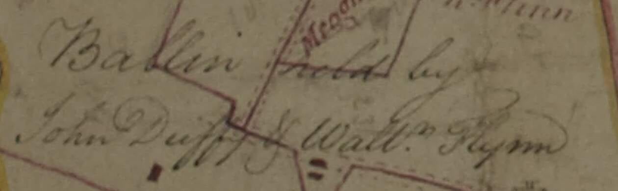 Map detail: Ballin held by John Duffy and Walter Flynn, 138-2-0, in which I compute 6 acres subject to flood